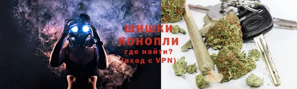 шишки Белоозёрский