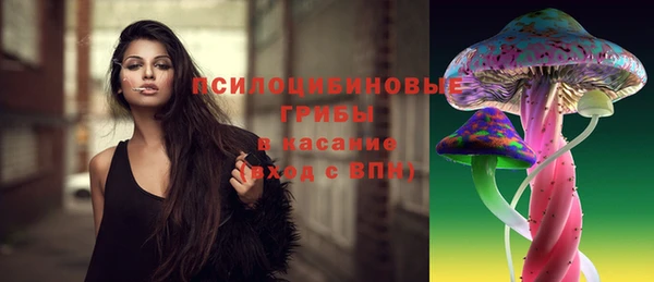 mix Белокуриха