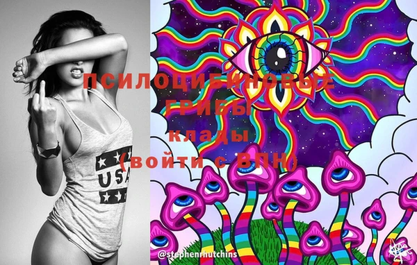 mix Белокуриха