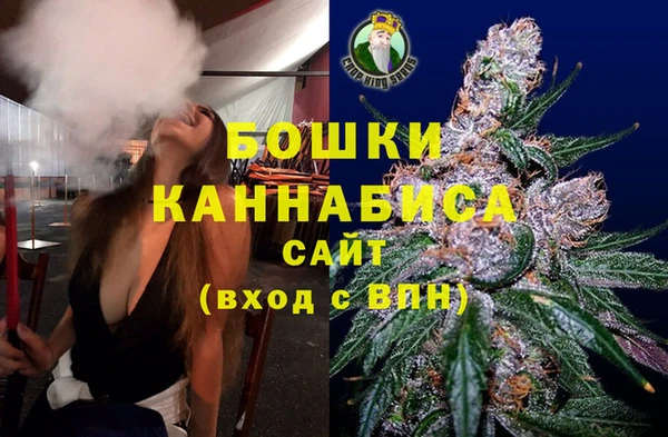 шишки Белоозёрский