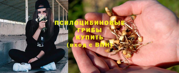 mix Белокуриха